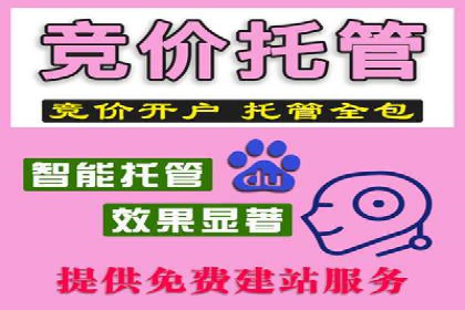SEM托管公司案例分析：实战技巧全解析