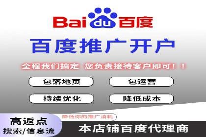 百度联盟推广网络覆盖的案例研究